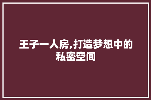 王子一人房,打造梦想中的私密空间