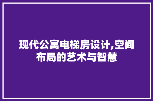 现代公寓电梯房设计,空间布局的艺术与智慧
