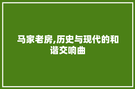 马家老房,历史与现代的和谐交响曲