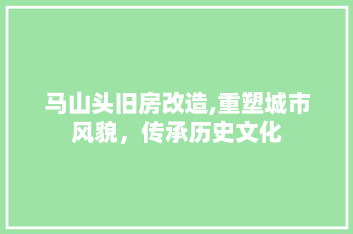 马山头旧房改造,重塑城市风貌，传承历史文化