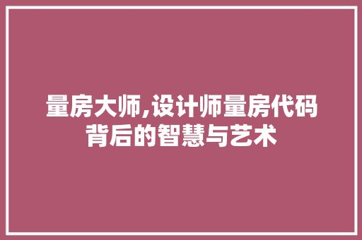 量房大师,设计师量房代码背后的智慧与艺术