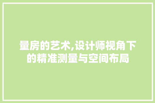 量房的艺术,设计师视角下的精准测量与空间布局