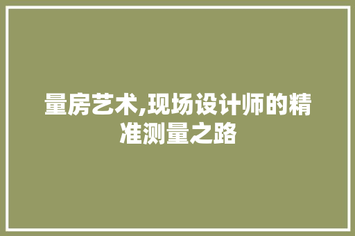 量房艺术,现场设计师的精准测量之路