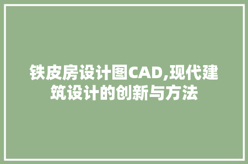 铁皮房设计图CAD,现代建筑设计的创新与方法