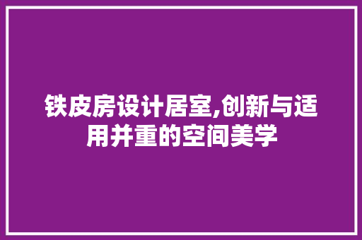 铁皮房设计居室,创新与适用并重的空间美学