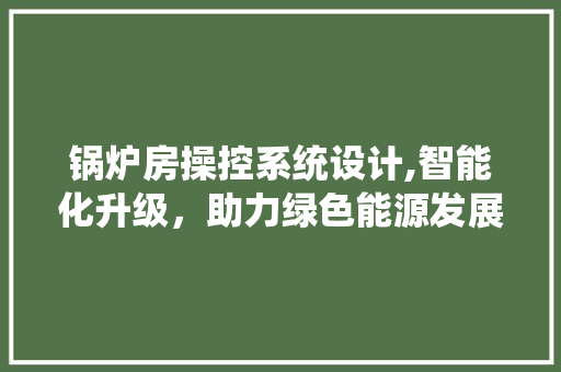 锅炉房操控系统设计,智能化升级，助力绿色能源发展