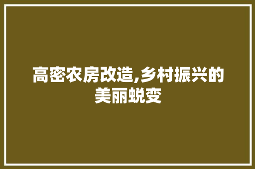 高密农房改造,乡村振兴的美丽蜕变