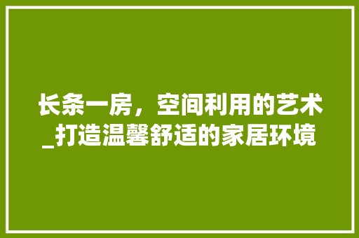 长条一房，空间利用的艺术_打造温馨舒适的家居环境