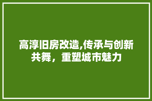 高淳旧房改造,传承与创新共舞，重塑城市魅力