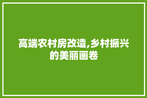 高端农村房改造,乡村振兴的美丽画卷
