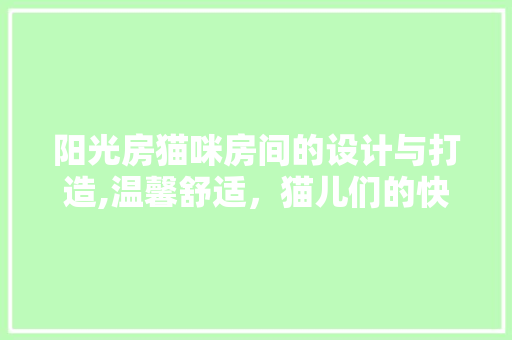 阳光房猫咪房间的设计与打造,温馨舒适，猫儿们的快乐家园