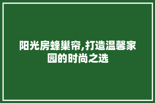 阳光房蜂巢帘,打造温馨家园的时尚之选