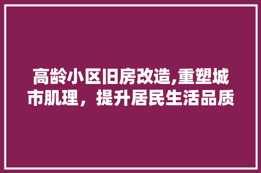 高龄小区旧房改造,重塑城市肌理，提升居民生活品质