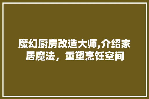 魔幻厨房改造大师,介绍家居魔法，重塑烹饪空间
