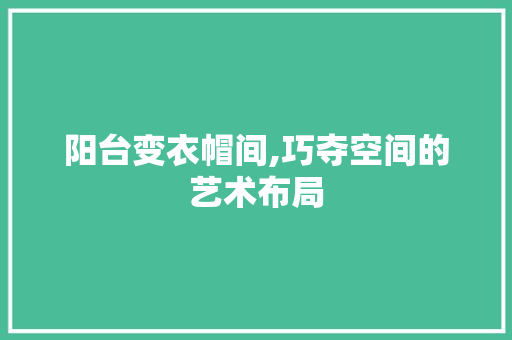 阳台变衣帽间,巧夺空间的艺术布局