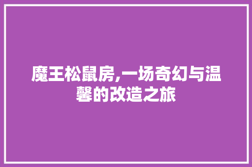 魔王松鼠房,一场奇幻与温馨的改造之旅