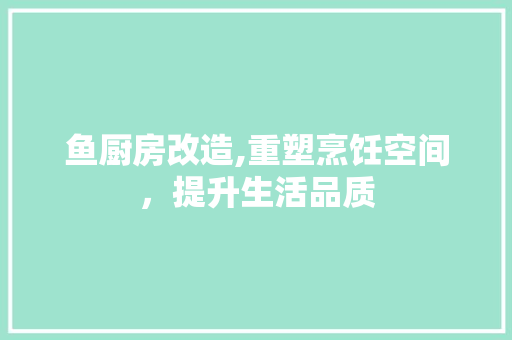 鱼厨房改造,重塑烹饪空间，提升生活品质