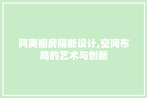 阿爽橱房隔断设计,空间布局的艺术与创新