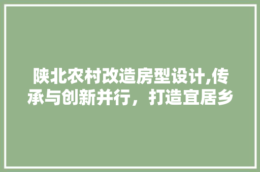 陕北农村改造房型设计,传承与创新并行，打造宜居乡村新篇章