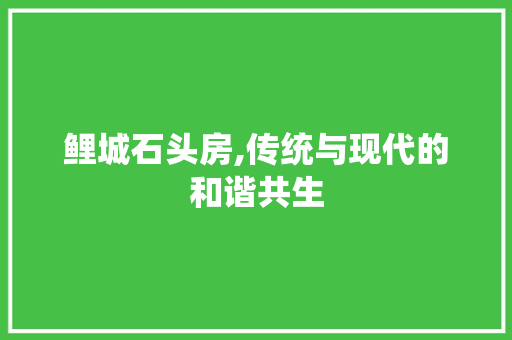 鲤城石头房,传统与现代的和谐共生