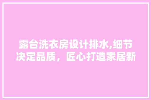 露台洗衣房设计排水,细节决定品质，匠心打造家居新境界