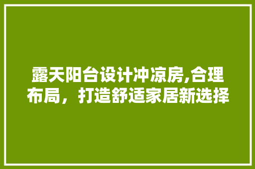 露天阳台设计冲凉房,合理布局，打造舒适家居新选择