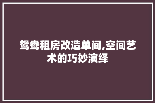 鸳鸯租房改造单间,空间艺术的巧妙演绎