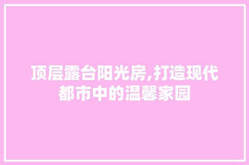 顶层露台阳光房,打造现代都市中的温馨家园