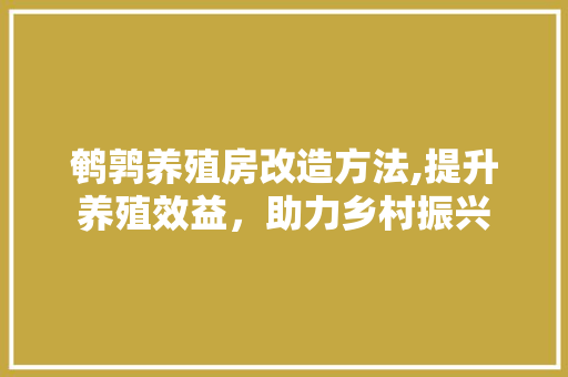 鹌鹑养殖房改造方法,提升养殖效益，助力乡村振兴