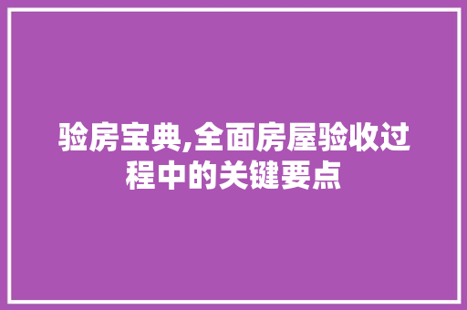 验房宝典,全面房屋验收过程中的关键要点