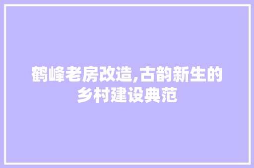 鹤峰老房改造,古韵新生的乡村建设典范