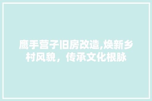 鹰手营子旧房改造,焕新乡村风貌，传承文化根脉