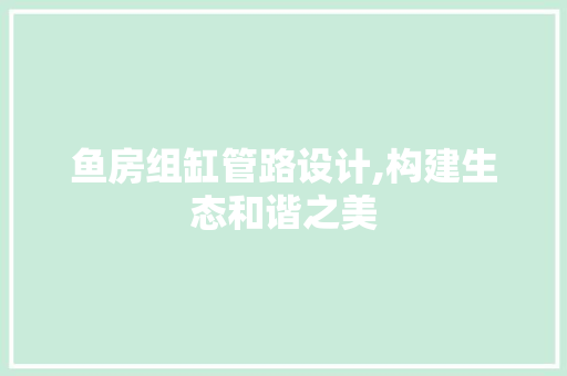 鱼房组缸管路设计,构建生态和谐之美
