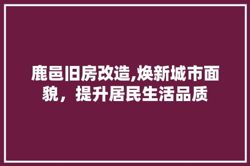 鹿邑旧房改造,焕新城市面貌，提升居民生活品质