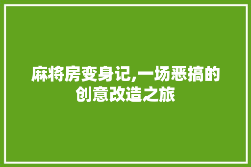麻将房变身记,一场恶搞的创意改造之旅