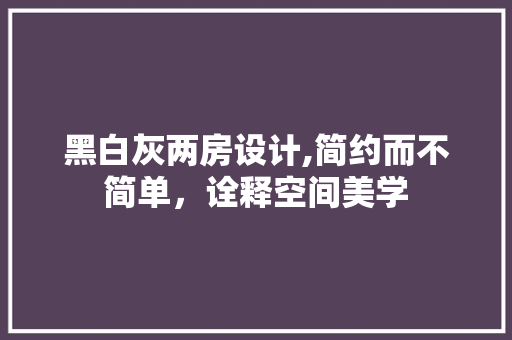 黑白灰两房设计,简约而不简单，诠释空间美学