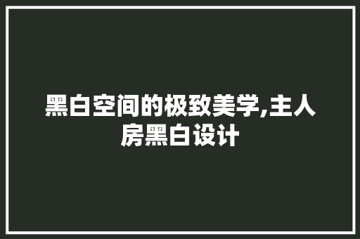 黑白空间的极致美学,主人房黑白设计