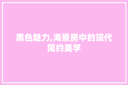 黑色魅力,海景房中的现代简约美学