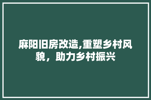麻阳旧房改造,重塑乡村风貌，助力乡村振兴