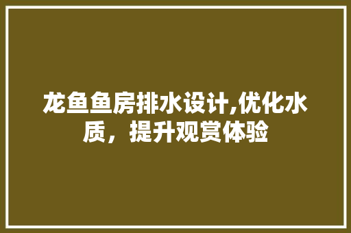 龙鱼鱼房排水设计,优化水质，提升观赏体验