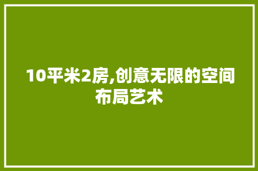 10平米2房,创意无限的空间布局艺术