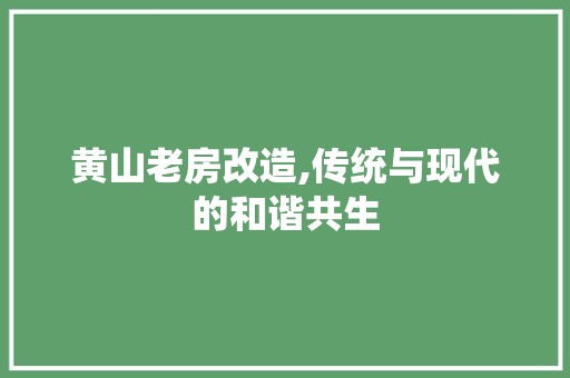 黄山老房改造,传统与现代的和谐共生