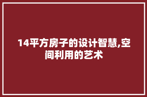 14平方房子的设计智慧,空间利用的艺术