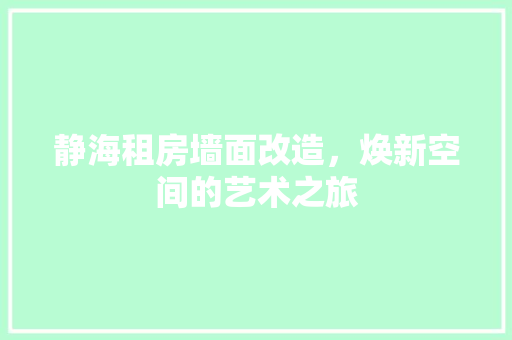 静海租房墙面改造，焕新空间的艺术之旅