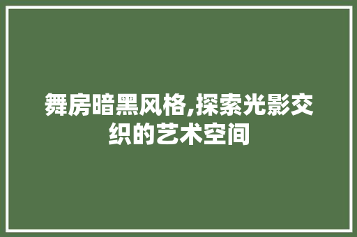 舞房暗黑风格,探索光影交织的艺术空间