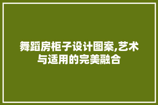 舞蹈房柜子设计图案,艺术与适用的完美融合