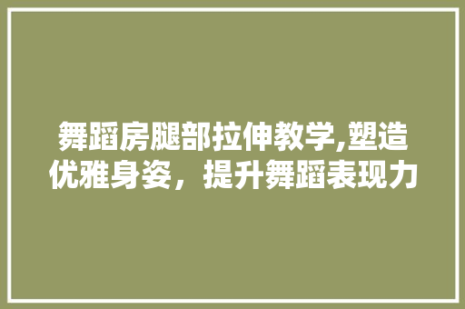 舞蹈房腿部拉伸教学,塑造优雅身姿，提升舞蹈表现力
