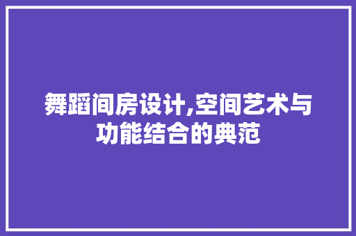 舞蹈间房设计,空间艺术与功能结合的典范