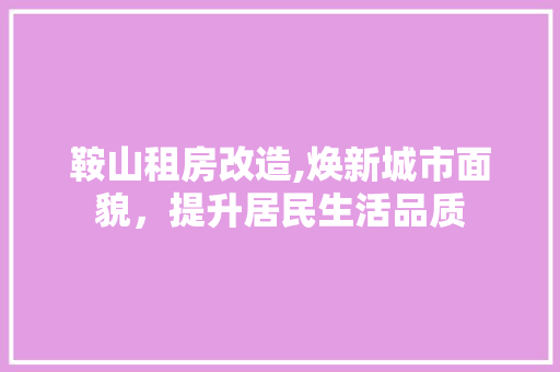 鞍山租房改造,焕新城市面貌，提升居民生活品质