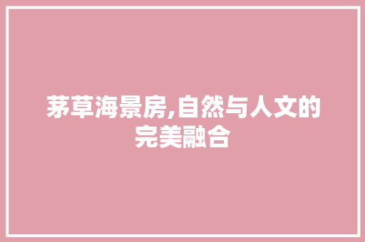 茅草海景房,自然与人文的完美融合